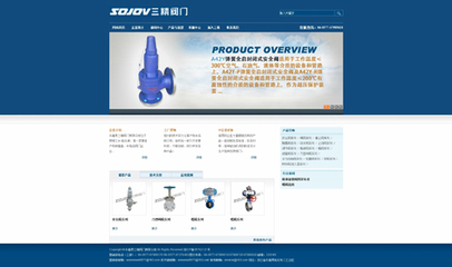 品牌形象VI設(shè)計與閥門網(wǎng)站網(wǎng)頁設(shè)計 專業(yè)與創(chuàng)新的融合